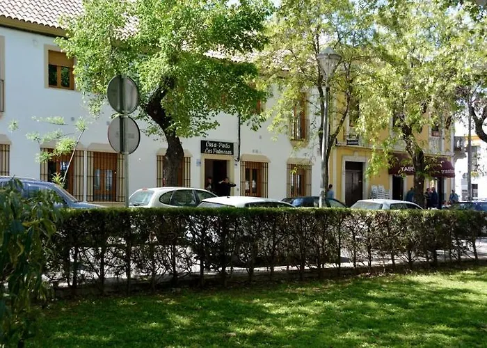 Casa Patio Palmeras 5 Y 6 公寓 *