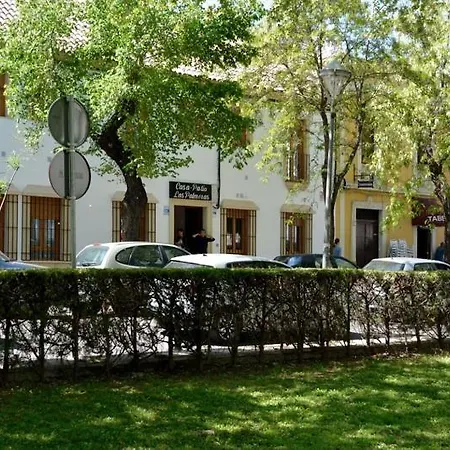 Casa Patio Palmeras 5 Y 6 Apartment *